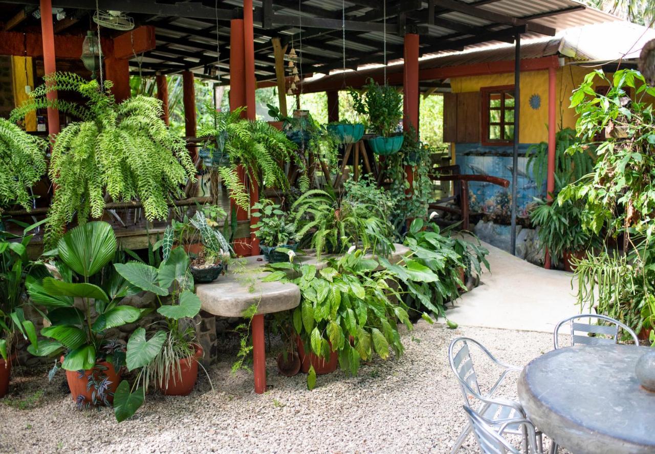 Coyote Rooms Cabuya  Exterior foto