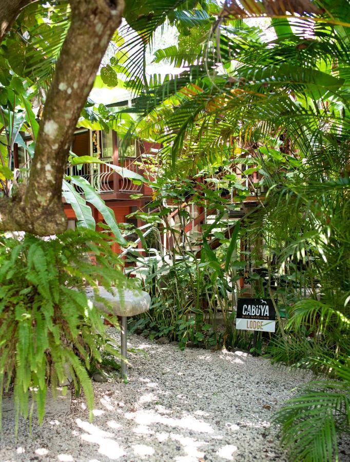 Coyote Rooms Cabuya  Exterior foto